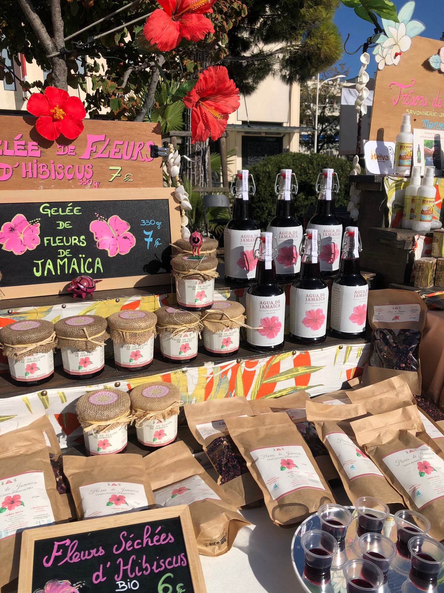 AGUA DE JAMAÏCA artisanale 500ml