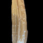 TORTILLAS DE GUANAJATO
